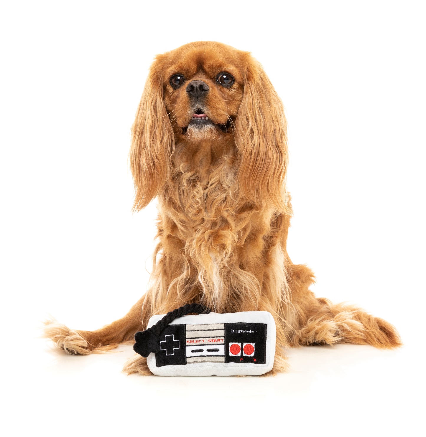 FuzzYard Plush Dog Toy - Dogtendo Controller