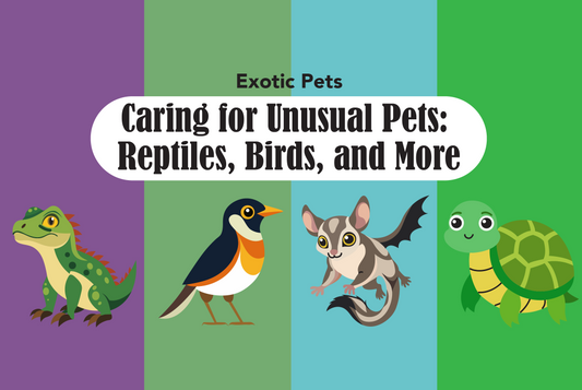 Caring for Unusual Pets Reptiles Birds and More