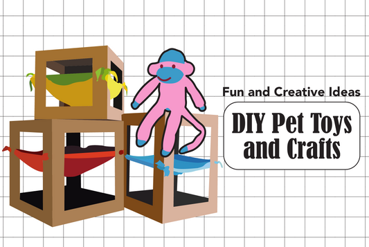 DIY Pet Toys and Crafts