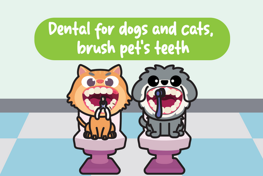 Dental for dogs and cats, brush pet's teeth