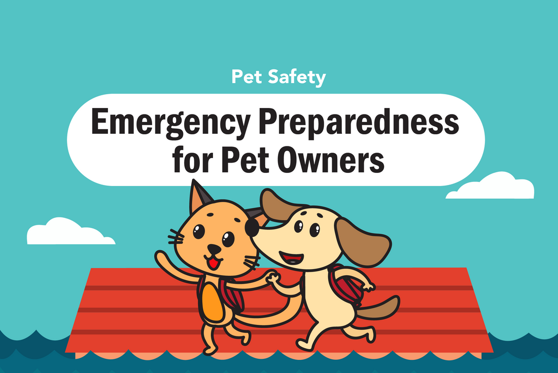 Emergency Preparedness for Pet Owners