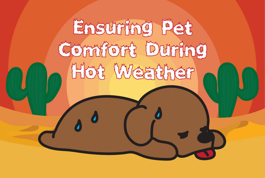 Ensuring Pets Comfort During Hot Weather