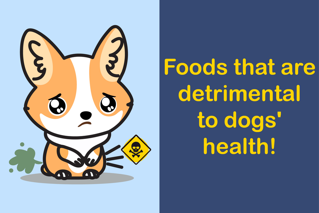 Foods that are detrimental to dogs' health!
