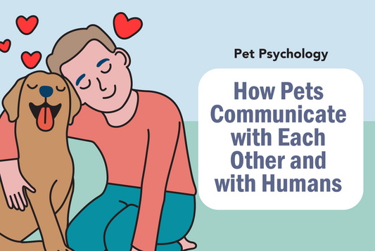 How Pets Communicate with Each Other and with Humans