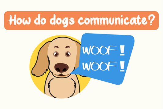 How do dogs communicate?