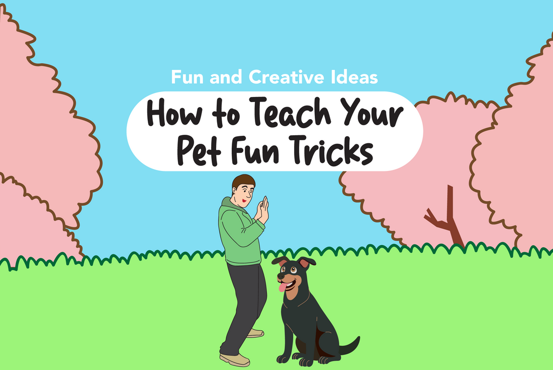 How to Teach Your Pet Fun Tricks