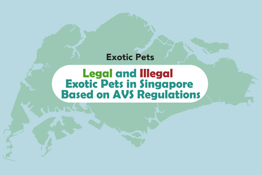Legal and Illegal Exotic Pets in Singapore Based on AVS Regulations