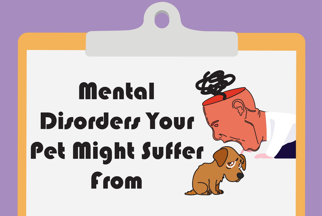 Mental disorders your pet might suffer from