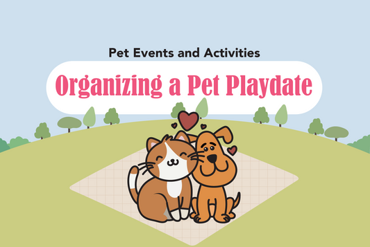Organizing a Pet Playdate