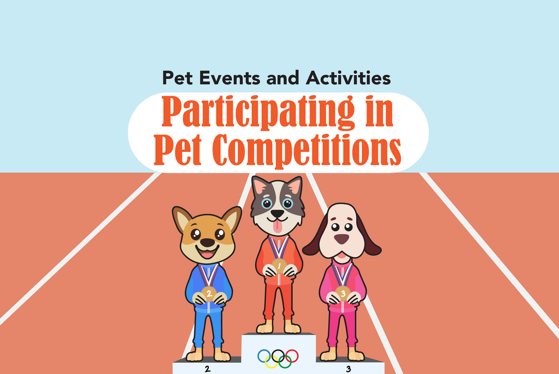 Participating in Pet Competitions