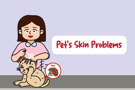Pet's Skin Problems