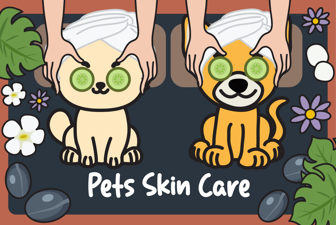 Pet's Skin Care