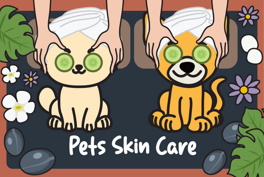 Pet's Skin Care