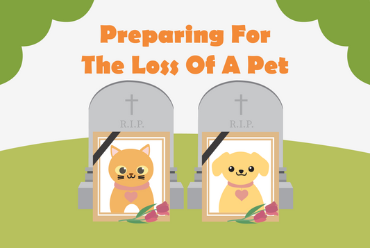 Preparing for the loss of a pet