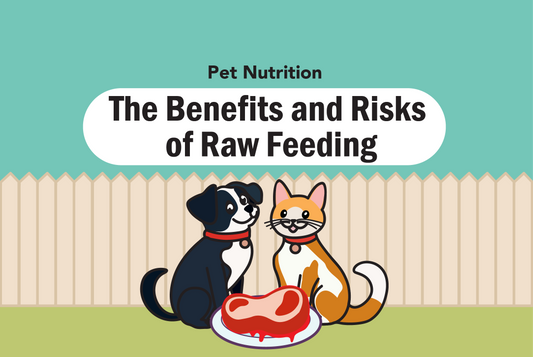 The Benefits and Risks of Raw Feeding
