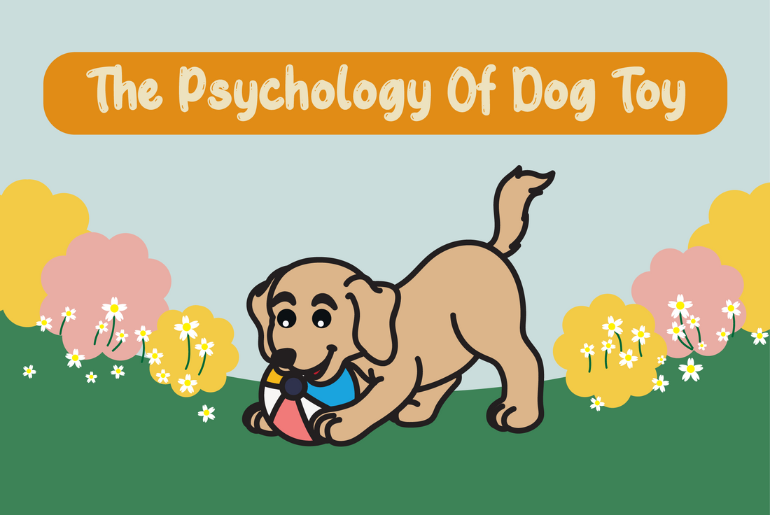 The Psychology of Dog Toy