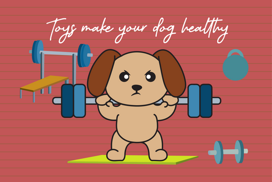 Toys make your dog healthy