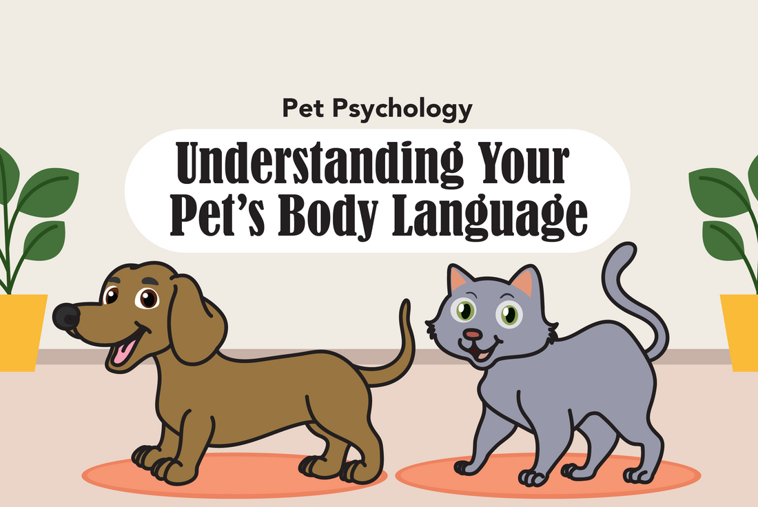 Understanding Your Pet’s Body Language
