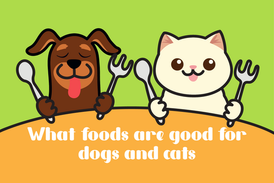 What foods are good for dog and cat?