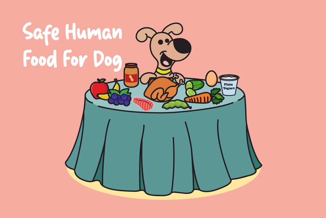 Safe human food for dogs