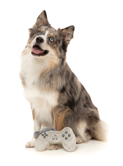 FuzzYard Plush Dog Toy - PawStation Controller