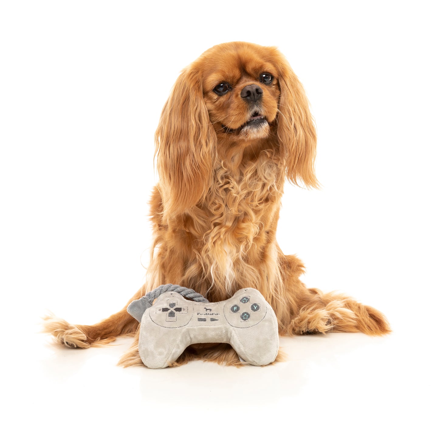 FuzzYard Plush Dog Toy - PawStation Controller