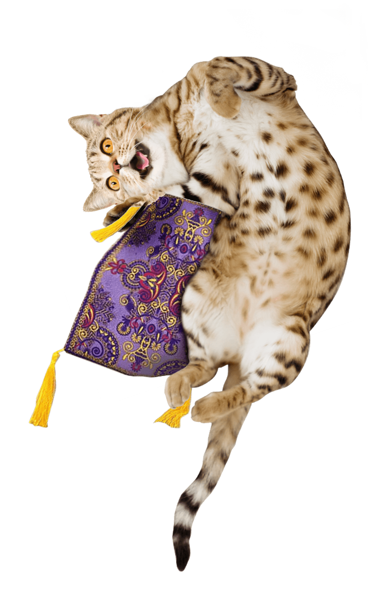 Meowijuana Get A Ride Refillable Magic Carpet