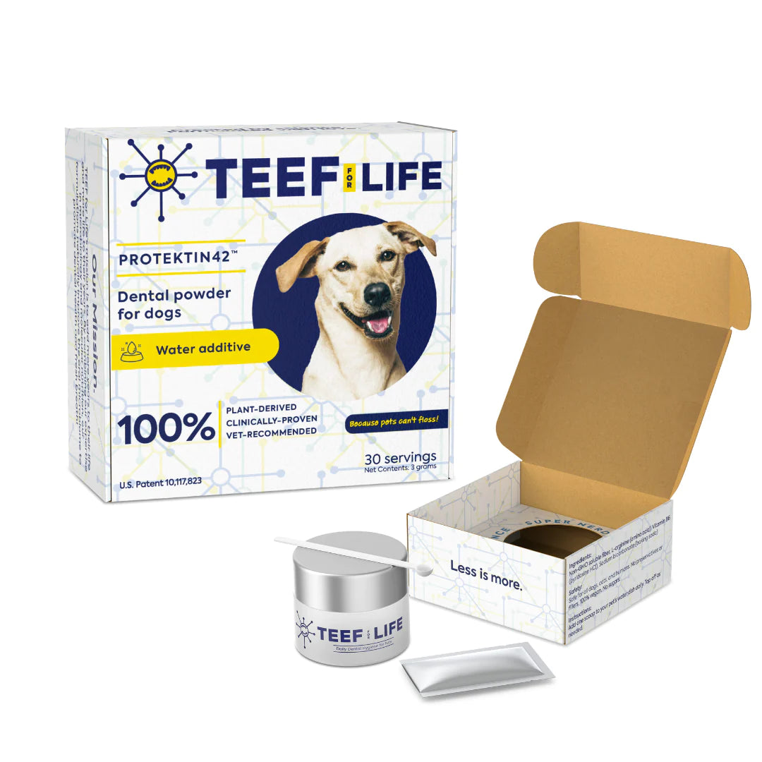 TEEF for Life - Protektin42™ - Dental Kit: Powder Water Additive for Dogs