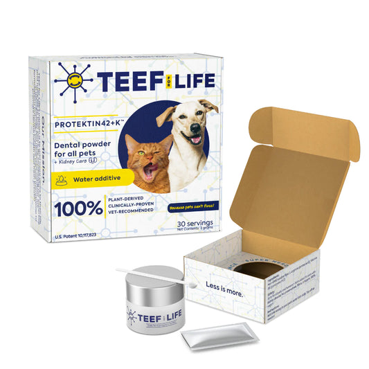 TEEF for Life - Protektin42+K™ - Dental Kit: Powder Water Additive for All Pets + Kidney Care